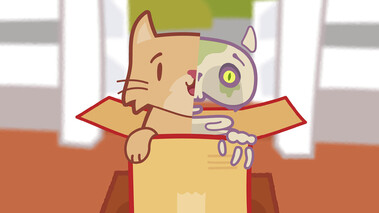 KatzeQ hält ein geöffnetes Paket mit fragender Mimik, Pressebild zur es rappelt in der Box-Aktion.